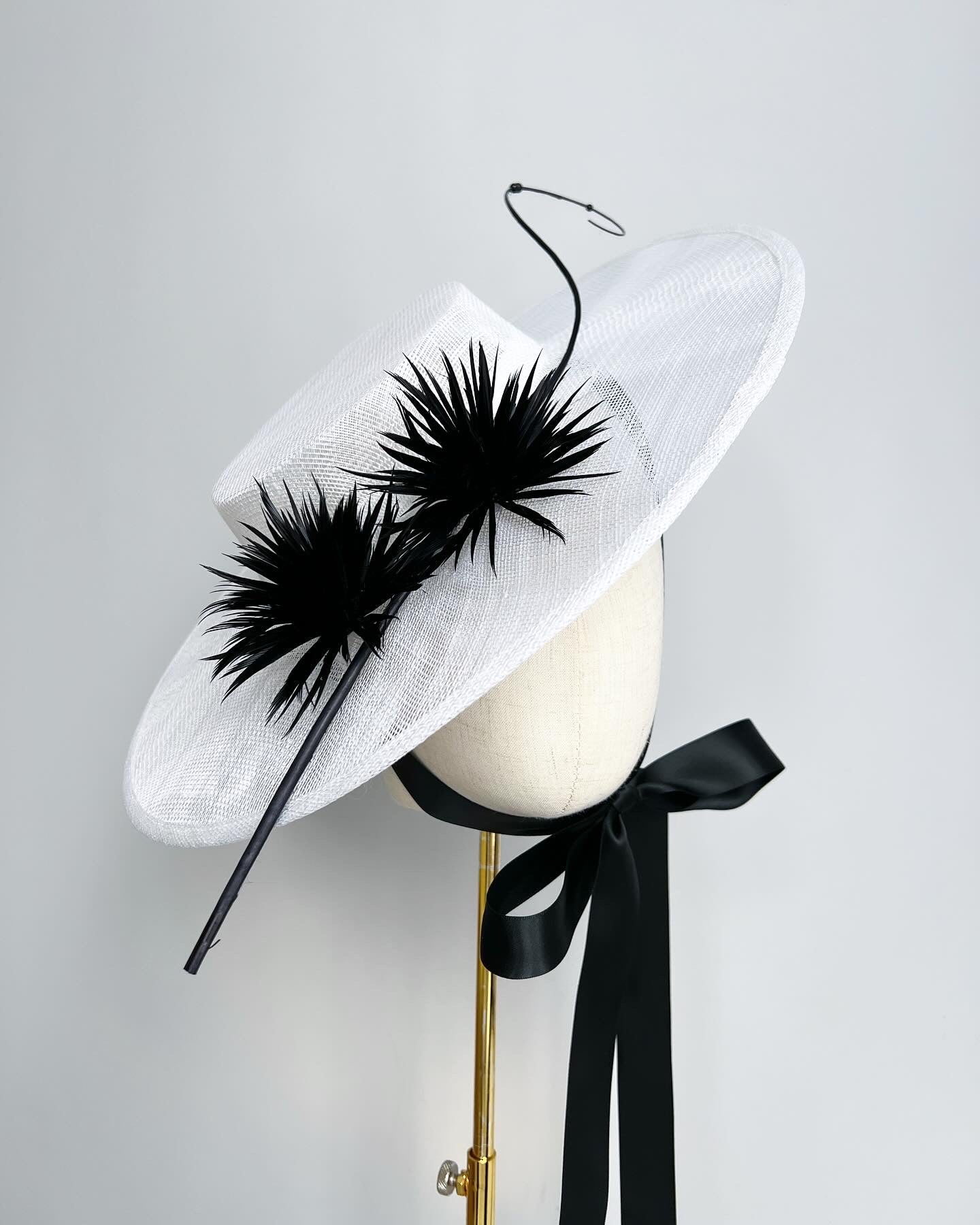 Hat with Ribbon
