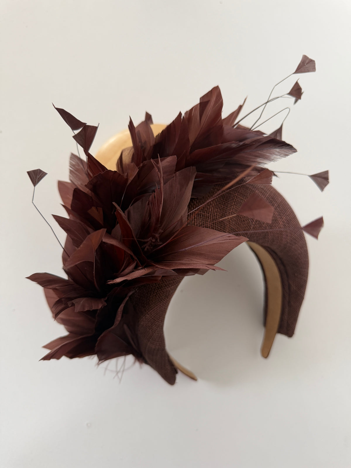 Handmade Crown with Feathers in Brown