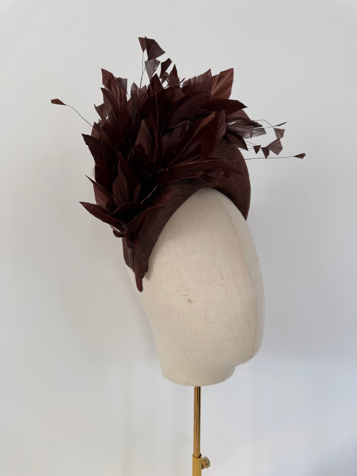 Handmade Crown with Feathers in Brown