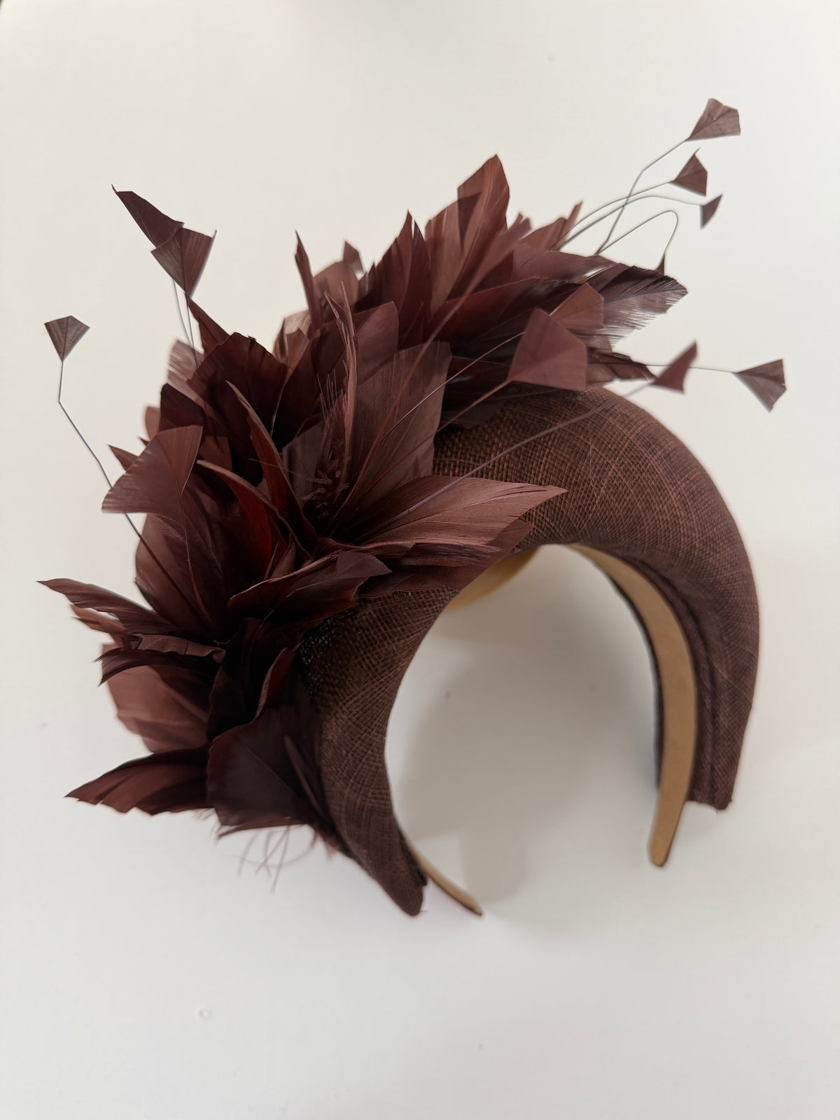 Handmade Crown with Feathers in Brown